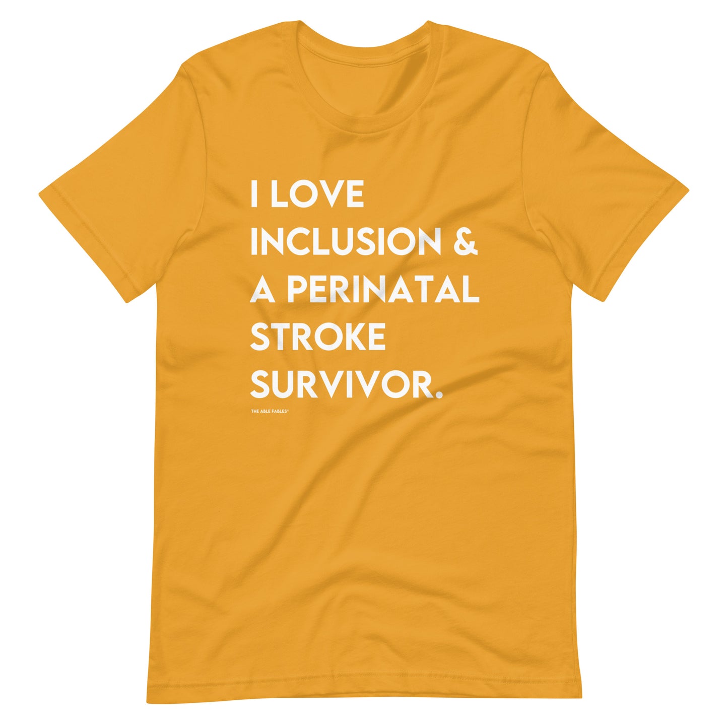 I Love Inclusion & A Perinatal Stroke Survivor | Adult Unisex Tee